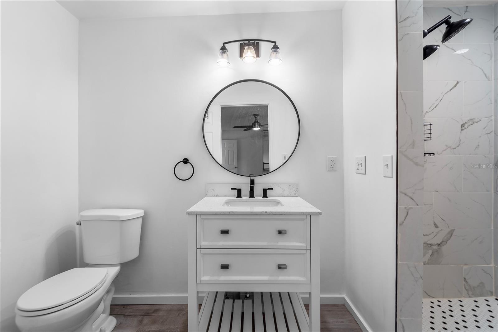 214 W VIOLET ST, TAMPA, FL, 33603