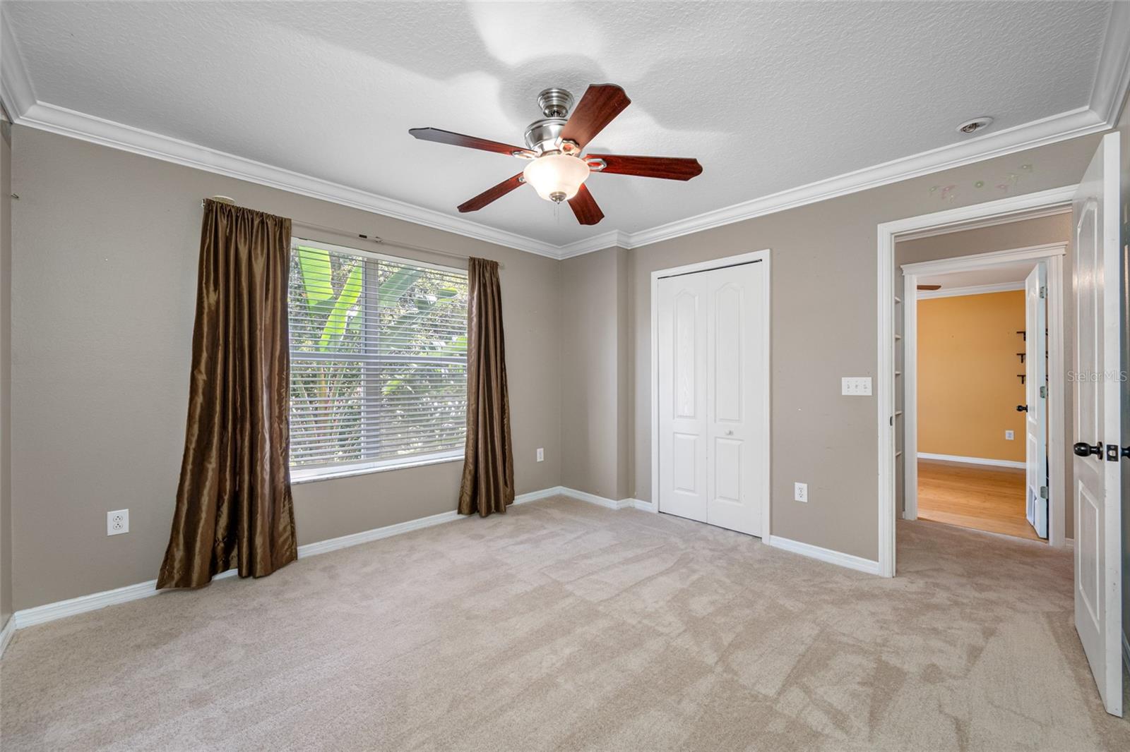 5719 TANAGERLAKE RD, LITHIA, FL, 33547