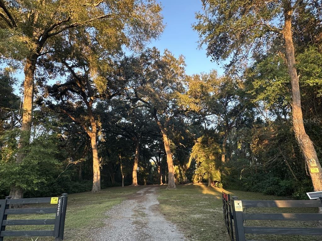 6531 NW 82ND CT, CHIEFLAND, FL, 32626