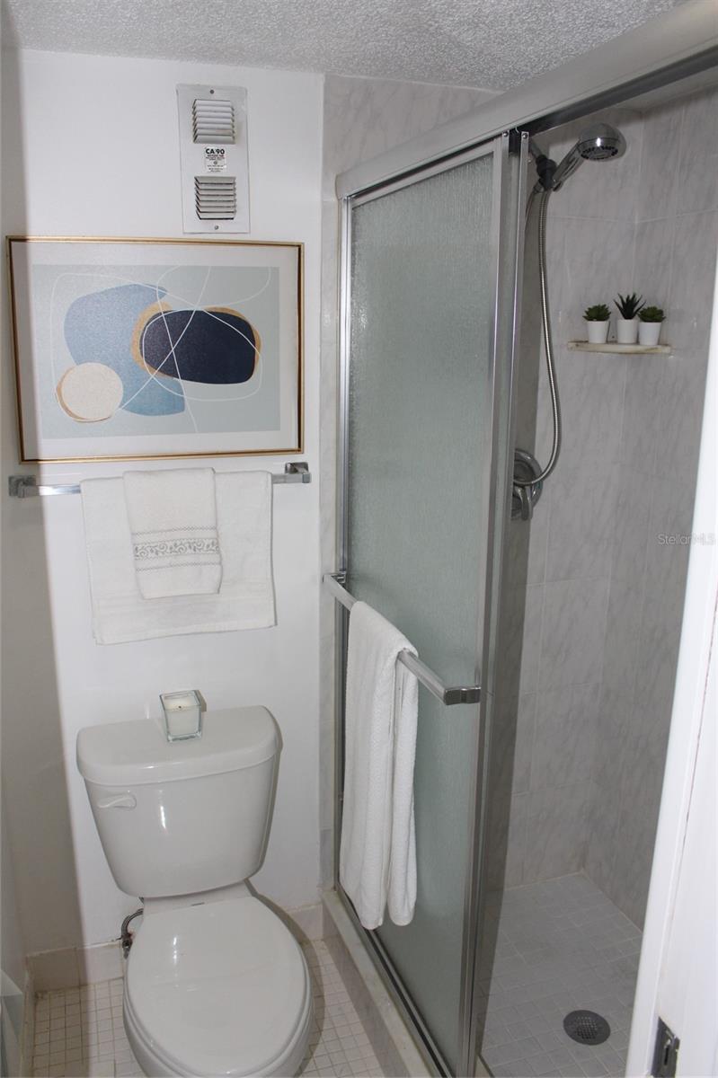 300 WOODETTE DR #202B, DUNEDIN, FL, 34698