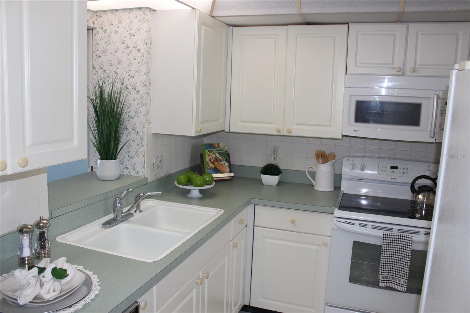 300 WOODETTE DR #202B, DUNEDIN, FL, 34698