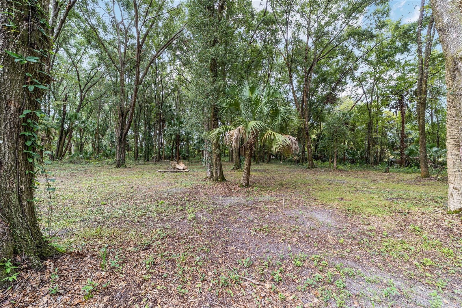 19189 N US HIGHWAY 301, CITRA, FL, 32113