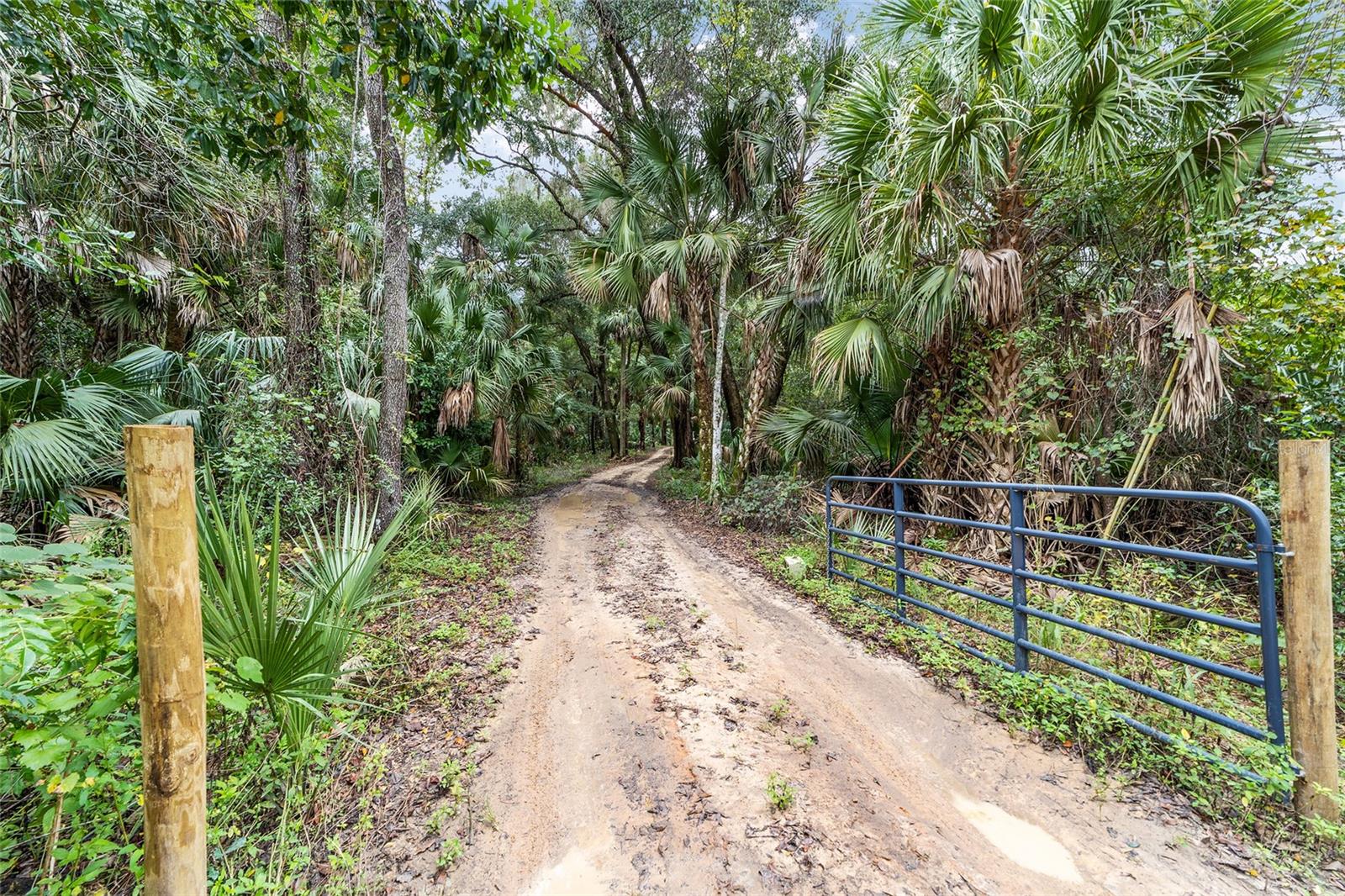 19189 N US HIGHWAY 301, CITRA, FL, 32113