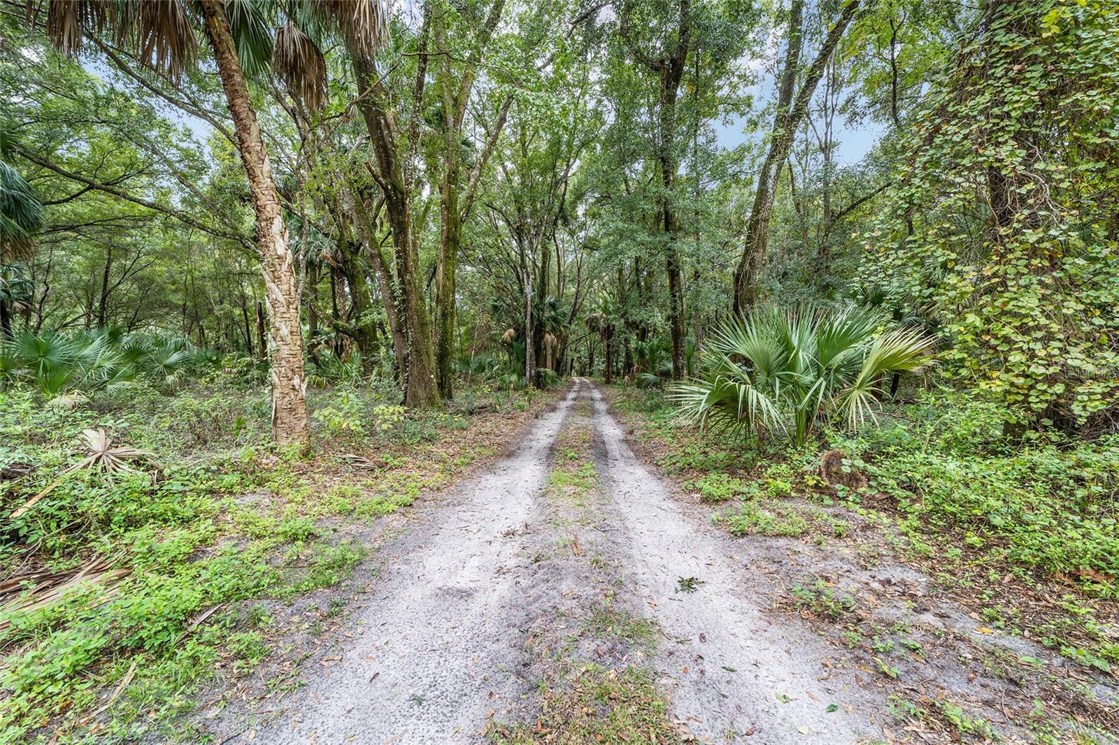 19189 N US HIGHWAY 301, CITRA, FL, 32113