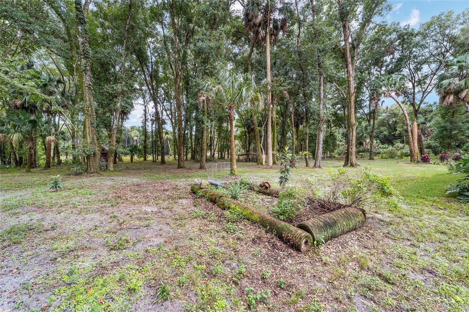 19189 N US HIGHWAY 301, CITRA, FL, 32113