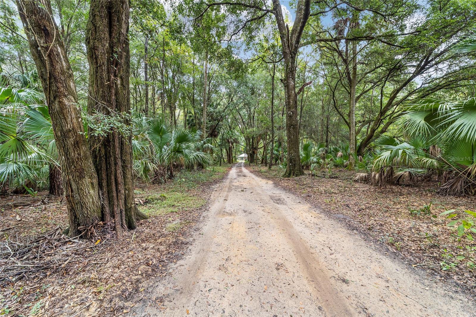 19189 N US HIGHWAY 301, CITRA, FL, 32113