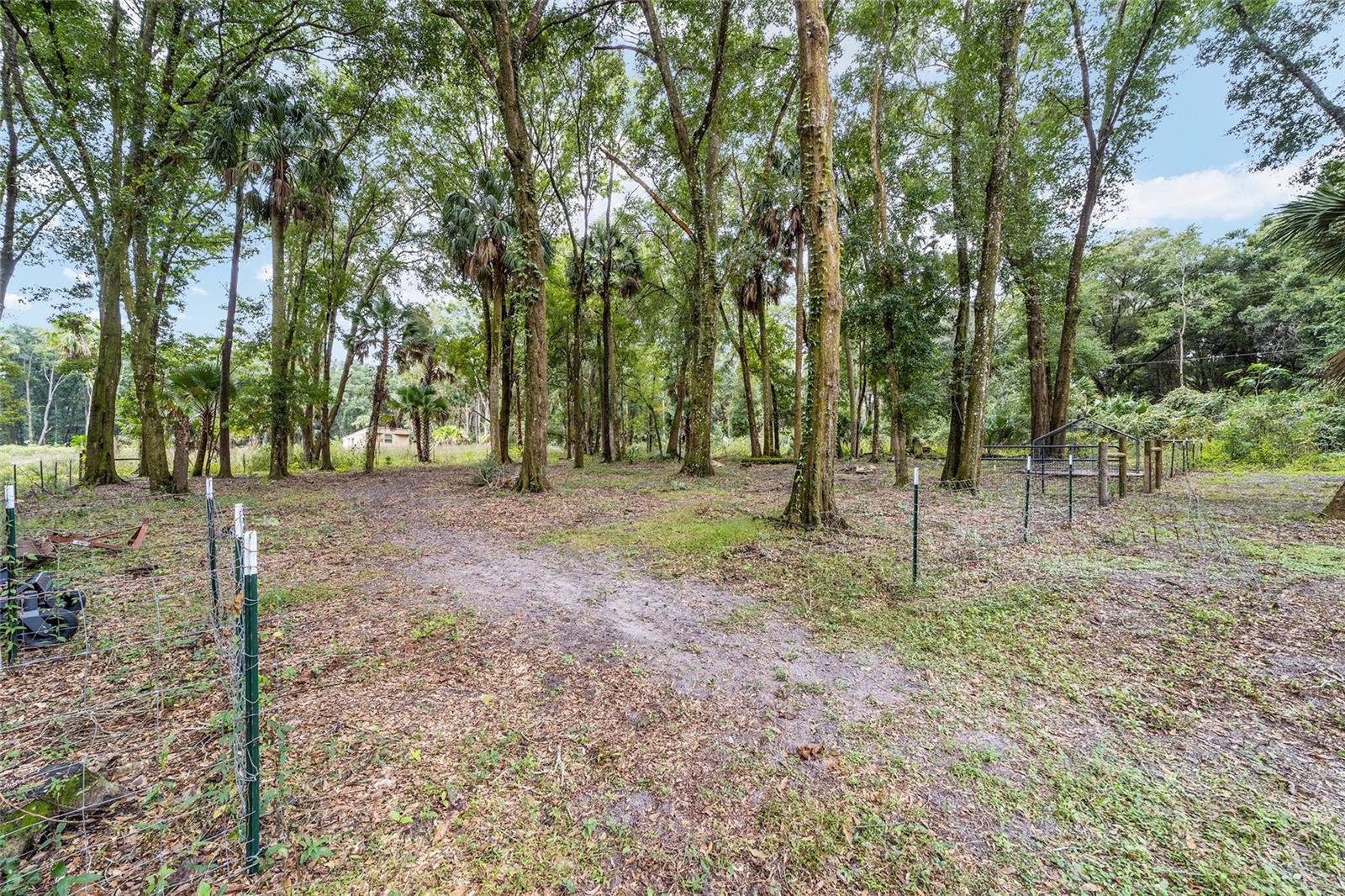 19189 N US HIGHWAY 301, CITRA, FL, 32113