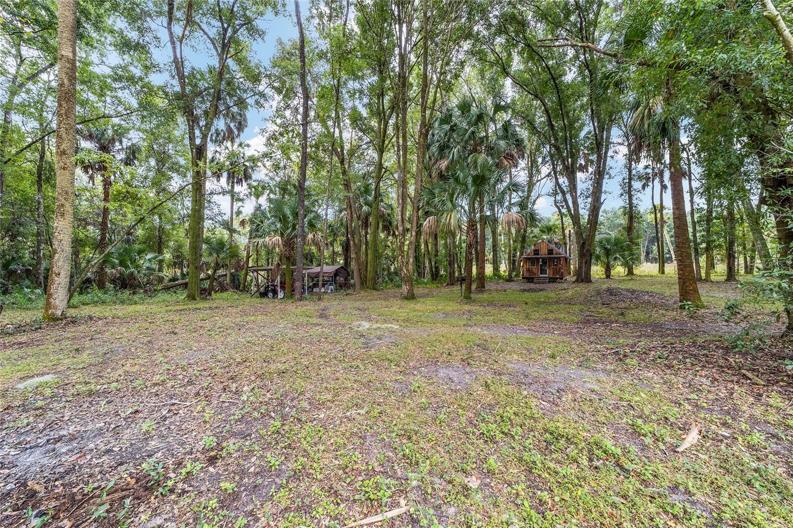 19189 N US HIGHWAY 301, CITRA, FL, 32113