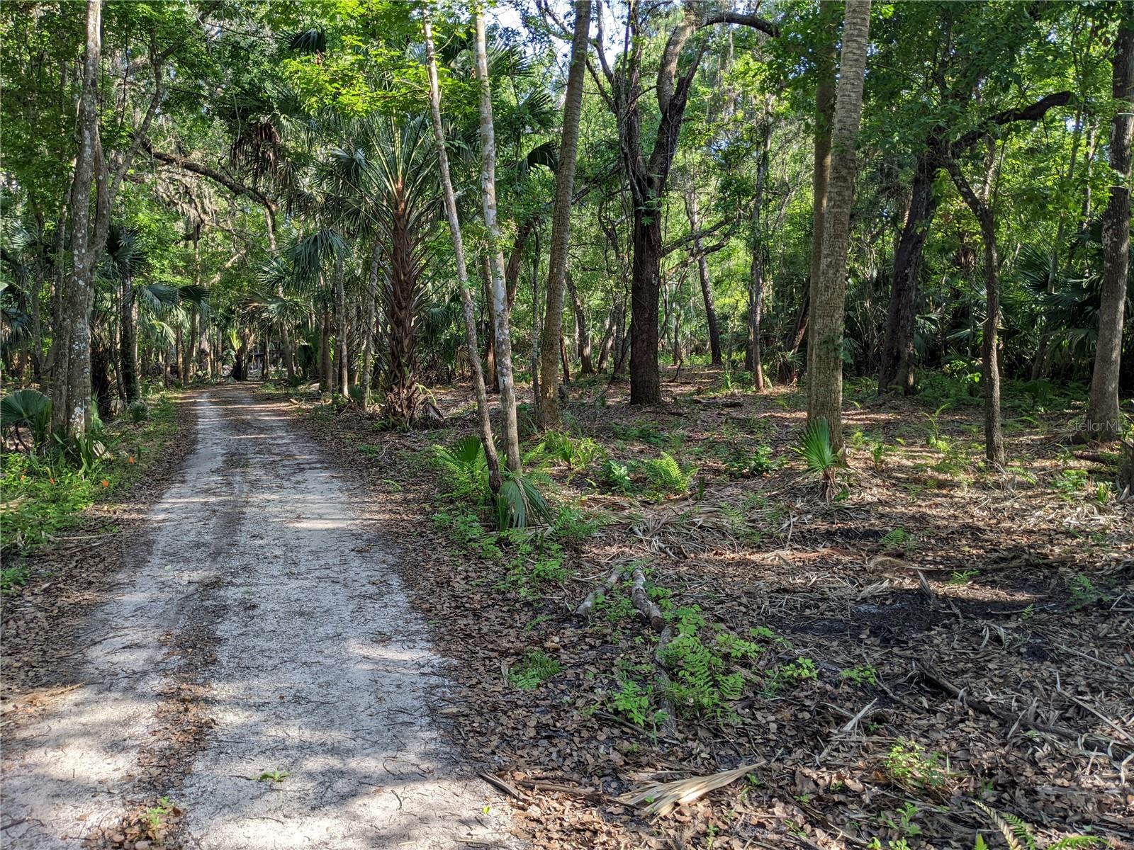 891 MICHIGAN ST, SANFORD, FL, 32773