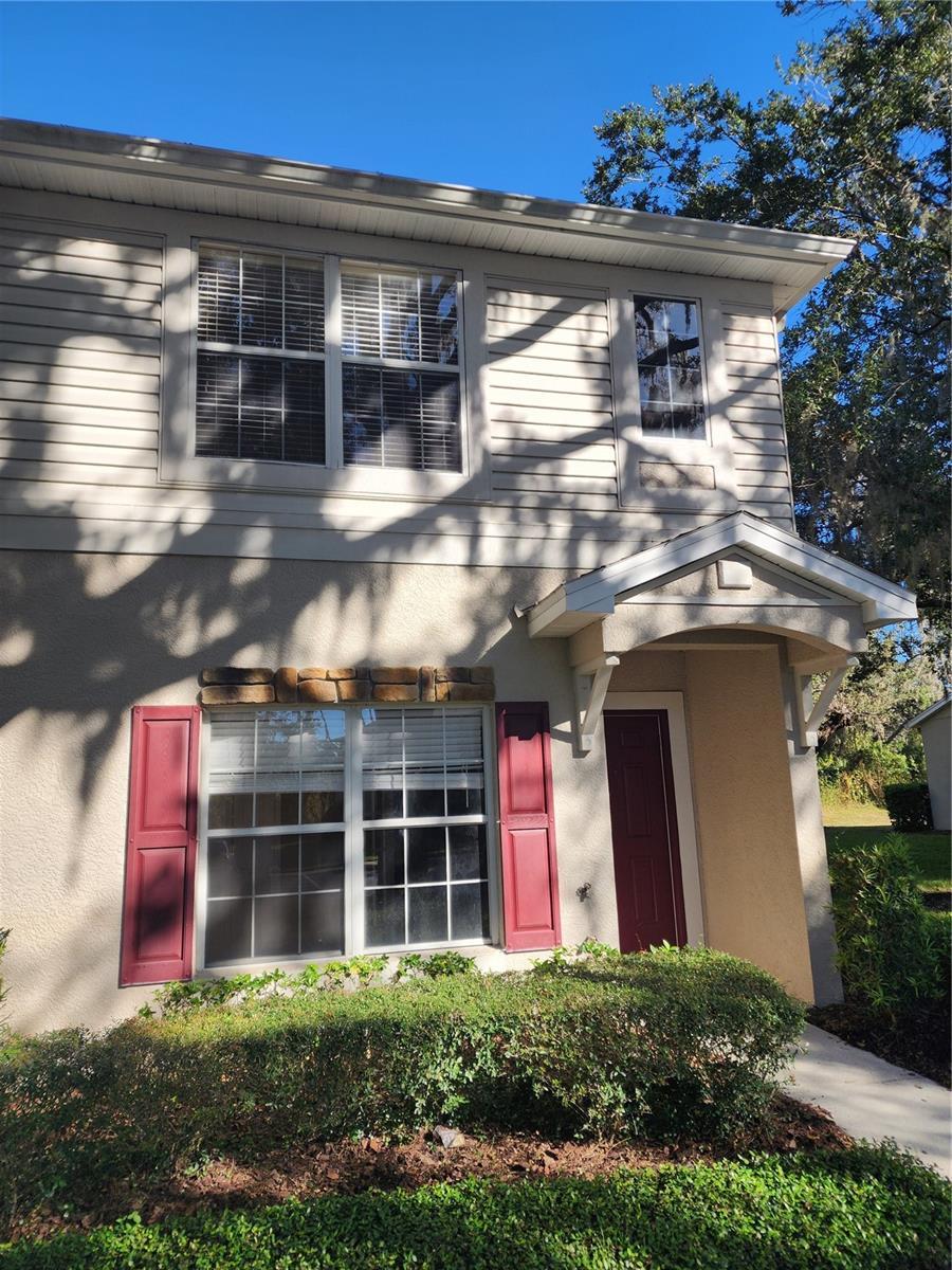 15924 FISHHAWK CREEK LN, LITHIA, FL, 33547