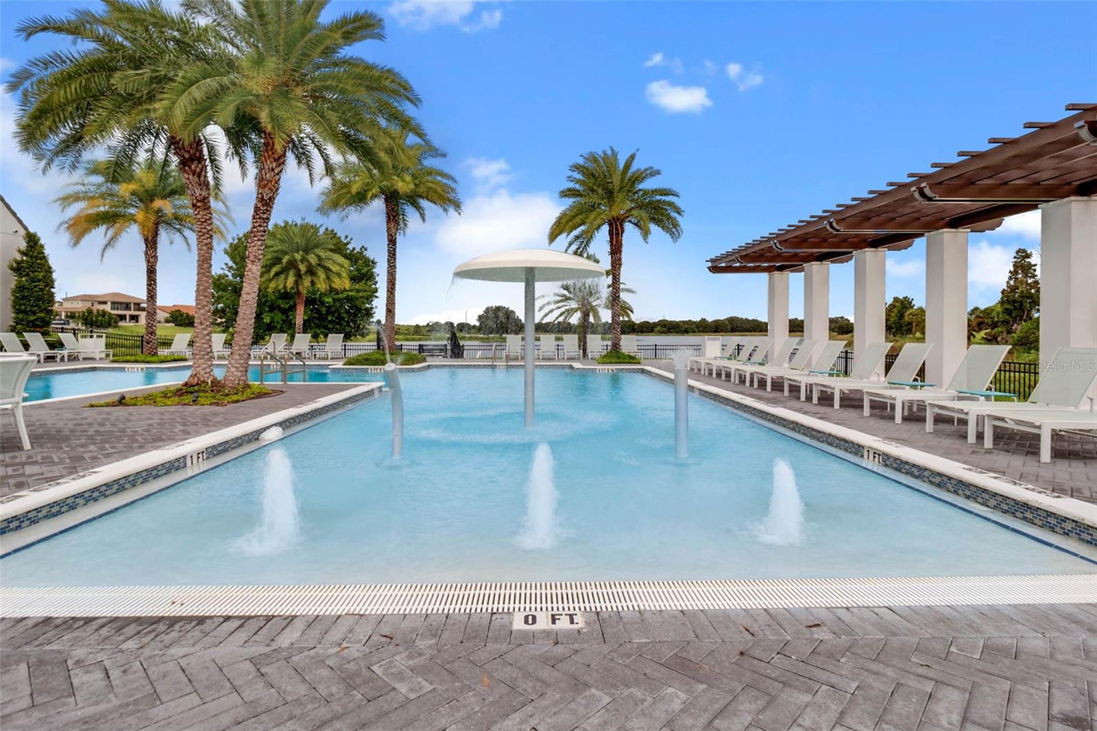 8884 BISMARCK PALM DR, WINTER GARDEN, FL, 34787