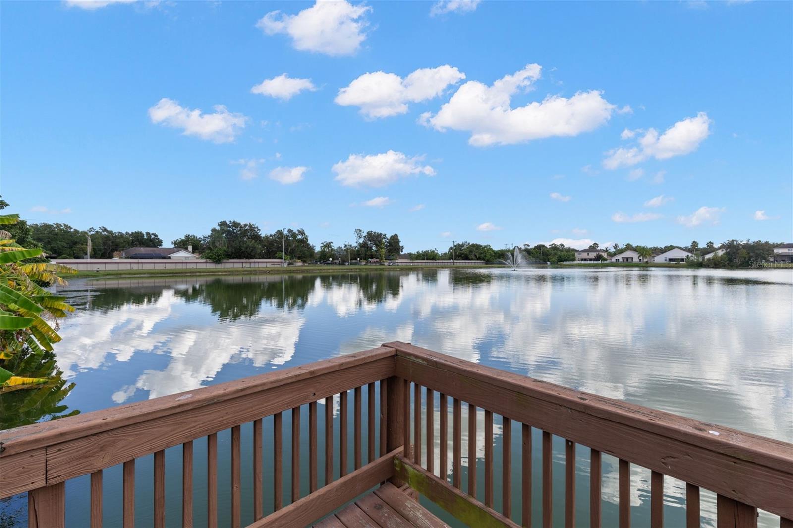 870 BAYOU VIEW DR, BRANDON, FL, 33510