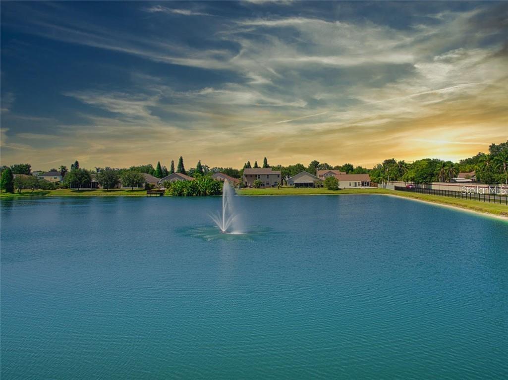 870 BAYOU VIEW DR, BRANDON, FL, 33510