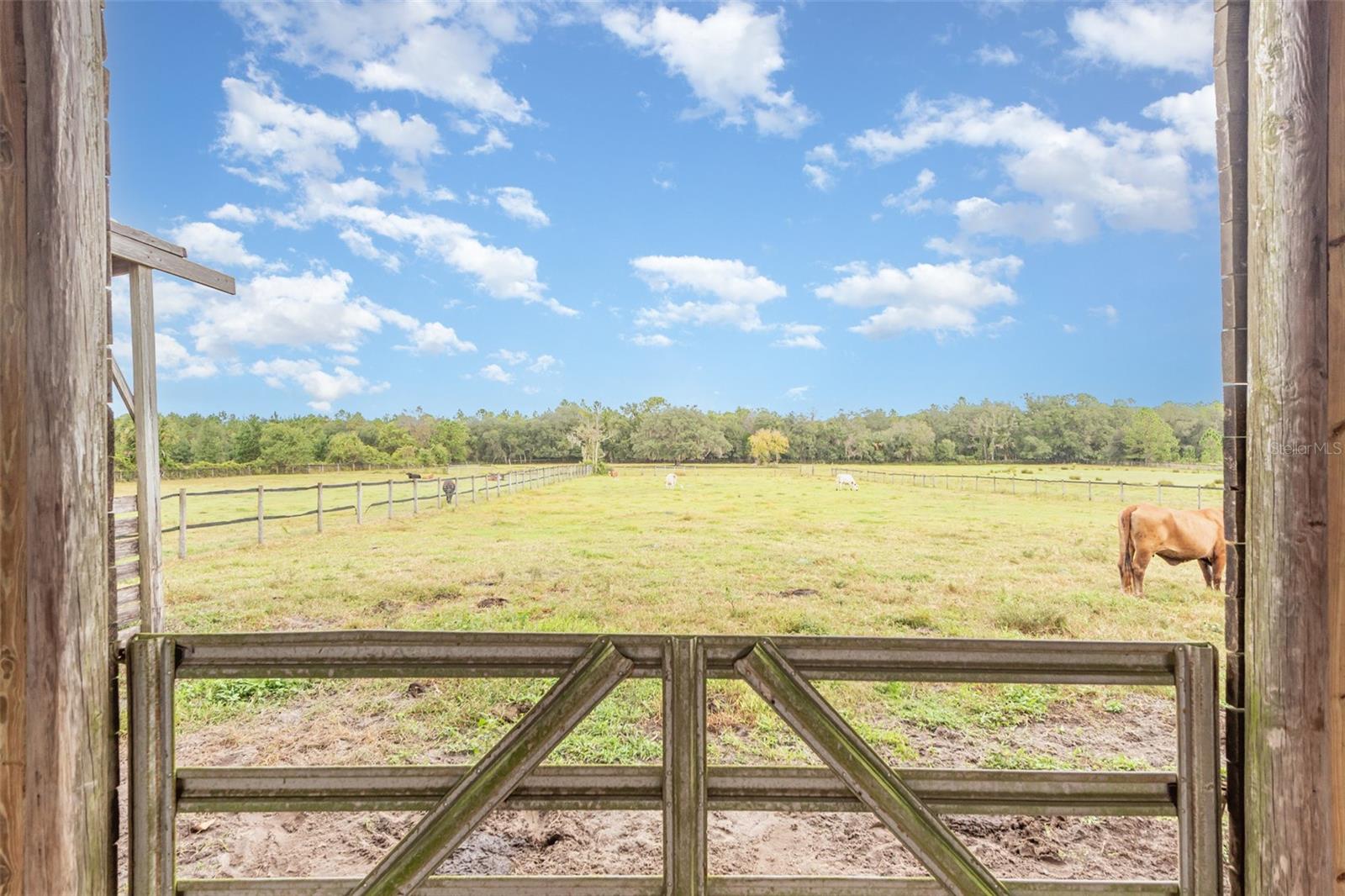 E OHIO AVE, LAKE HELEN, FL, 32744