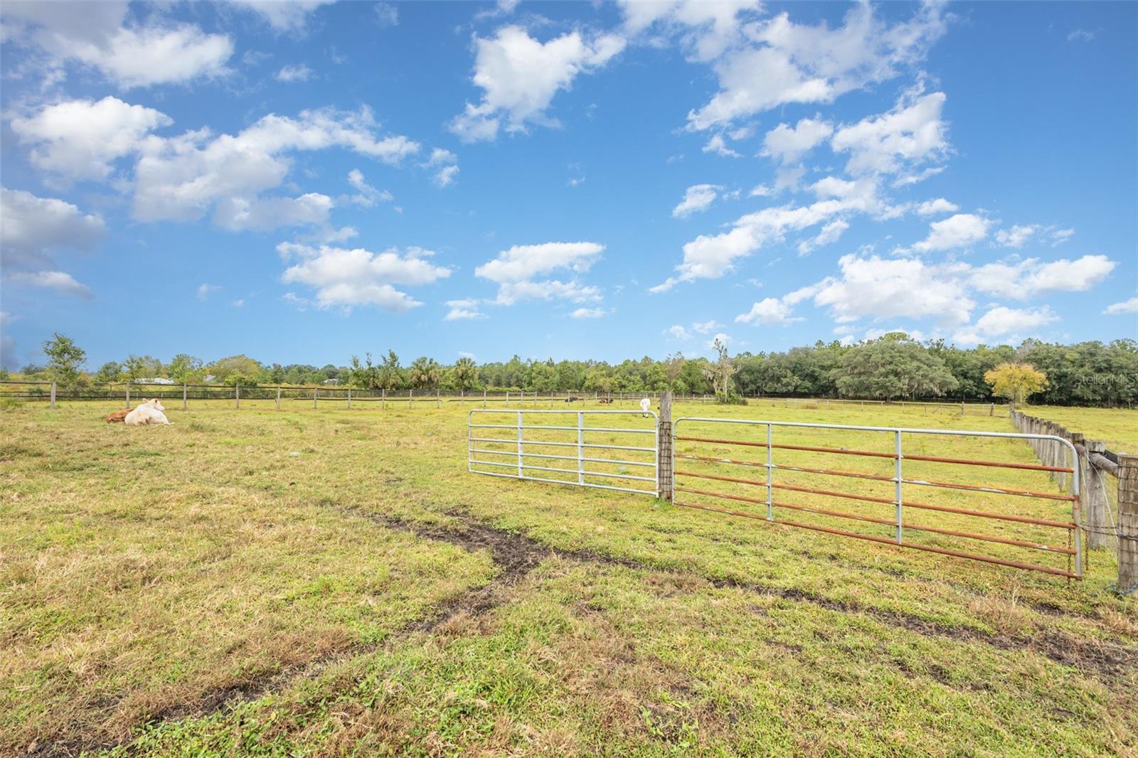 E OHIO AVE, LAKE HELEN, FL, 32744