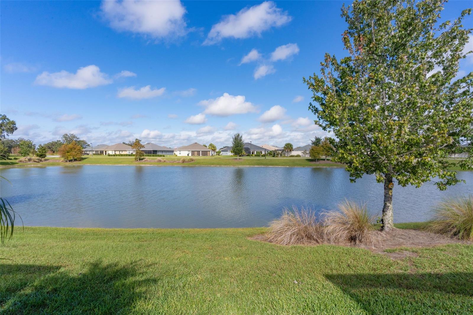 1803 ZIENTARA LOOP, THE VILLAGES, FL, 32163