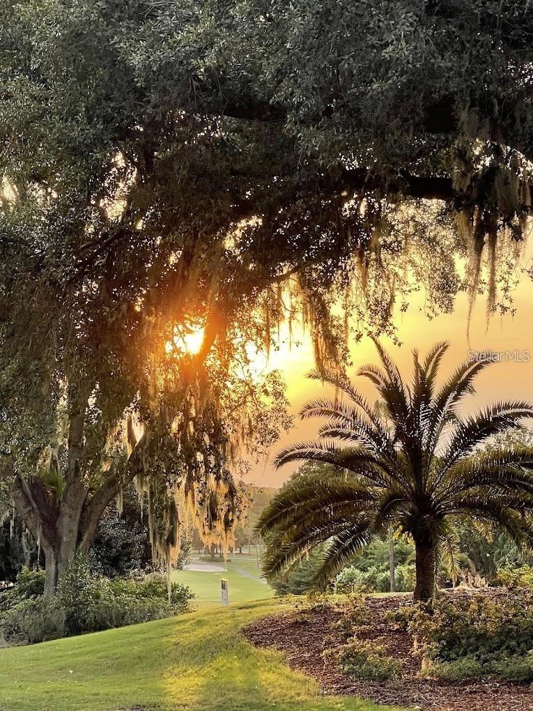 9901 SANTA BARBARA CT, HOWEY IN THE HILLS, FL, 34737