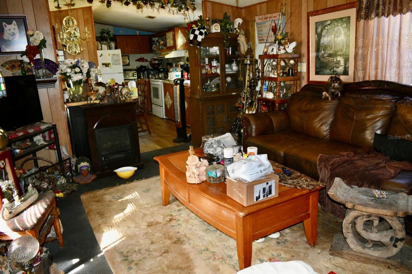 34934 PUNCH RD, DADE CITY, FL, 33523