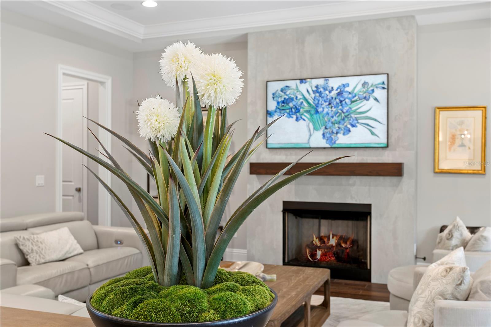 TB8441798 Property Photo