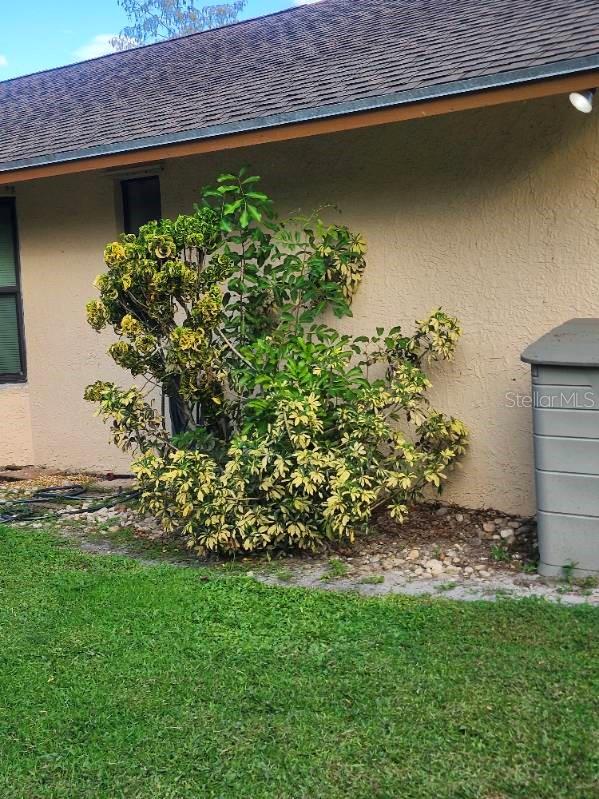 1337 BRAMPTON CV, WELLINGTON, FL, 33414