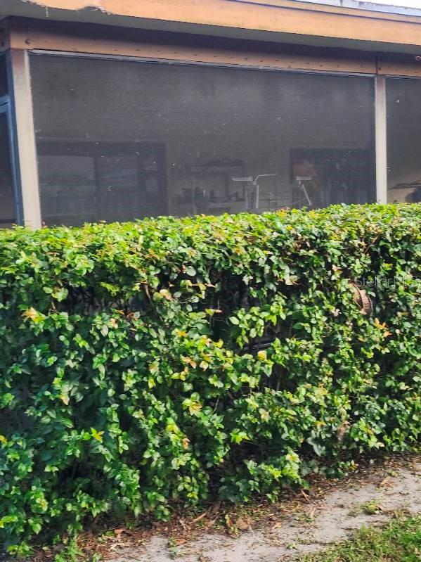 1337 BRAMPTON CV, WELLINGTON, FL, 33414