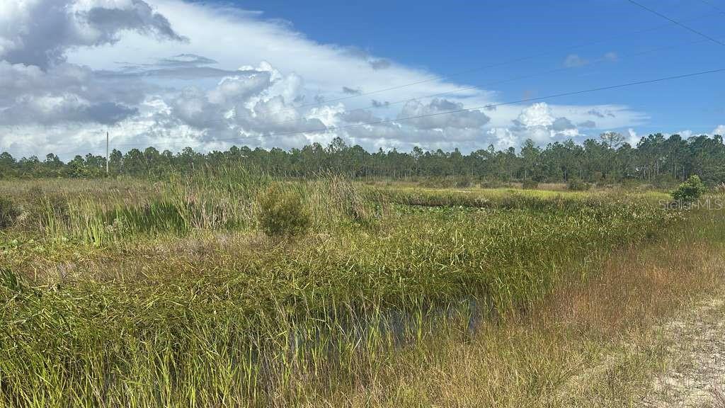 16057 NW 308TH ST, OKEECHOBEE, FL, 34972