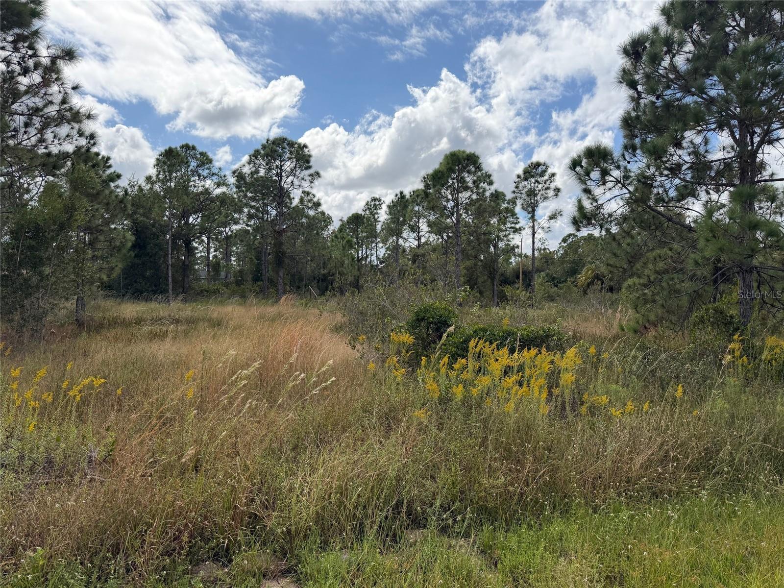 27409 MANDALAY DR, PUNTA GORDA, FL, 33955