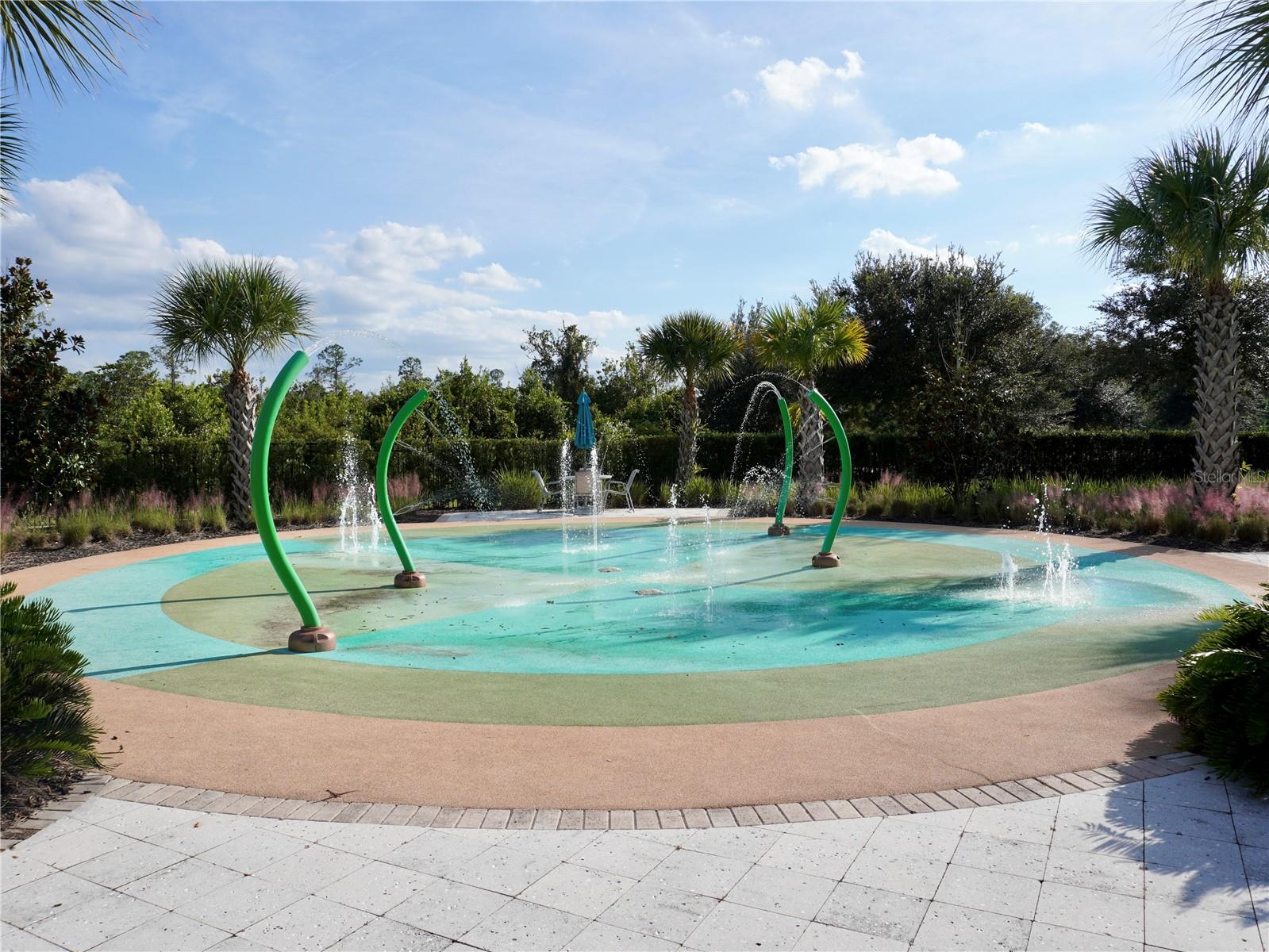 17876 PASSIONFLOWER CIR, CLERMONT, FL, 34714