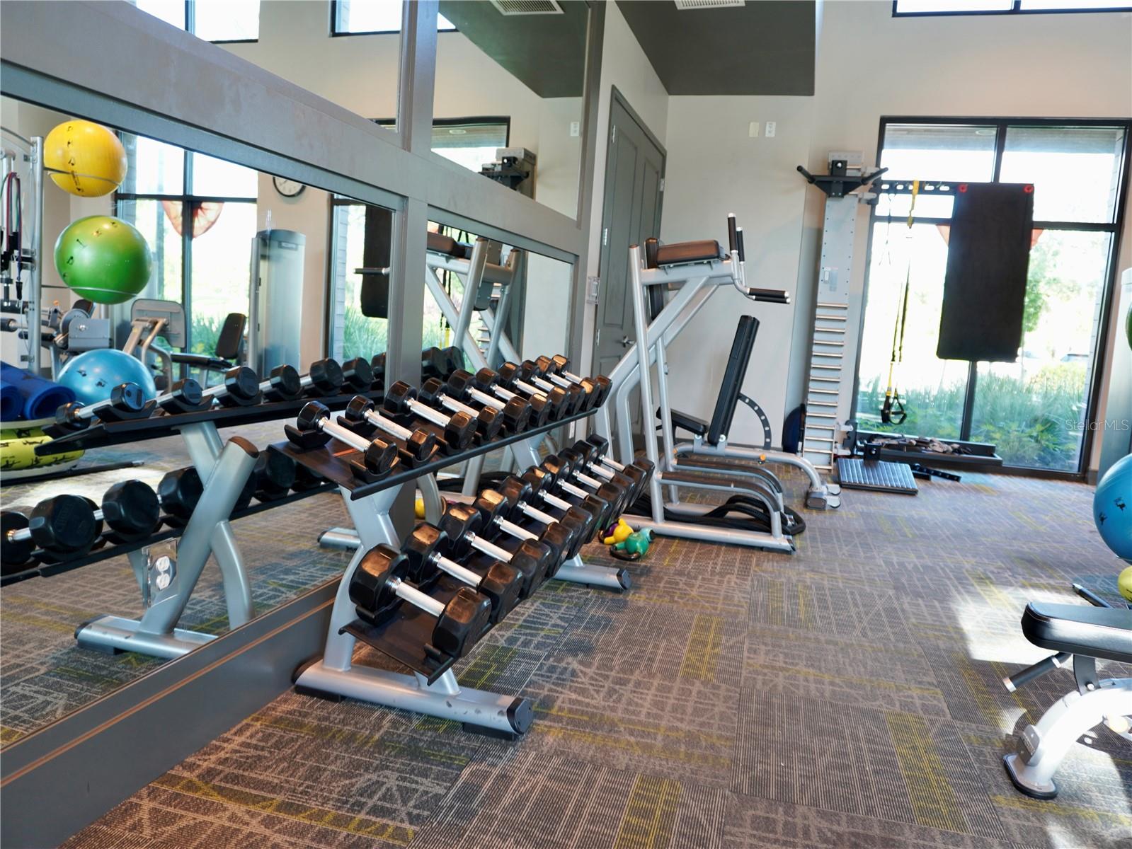 17876 PASSIONFLOWER CIR, CLERMONT, FL, 34714