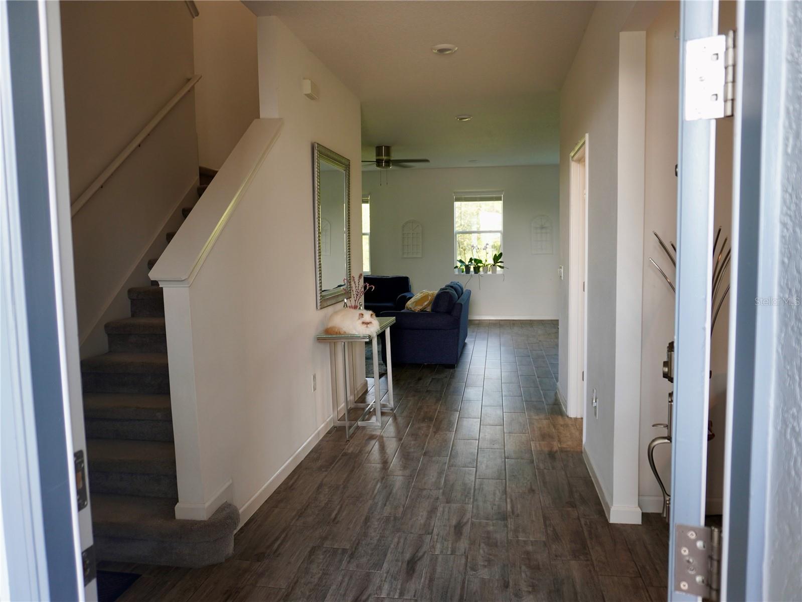 17876 PASSIONFLOWER CIR, CLERMONT, FL, 34714