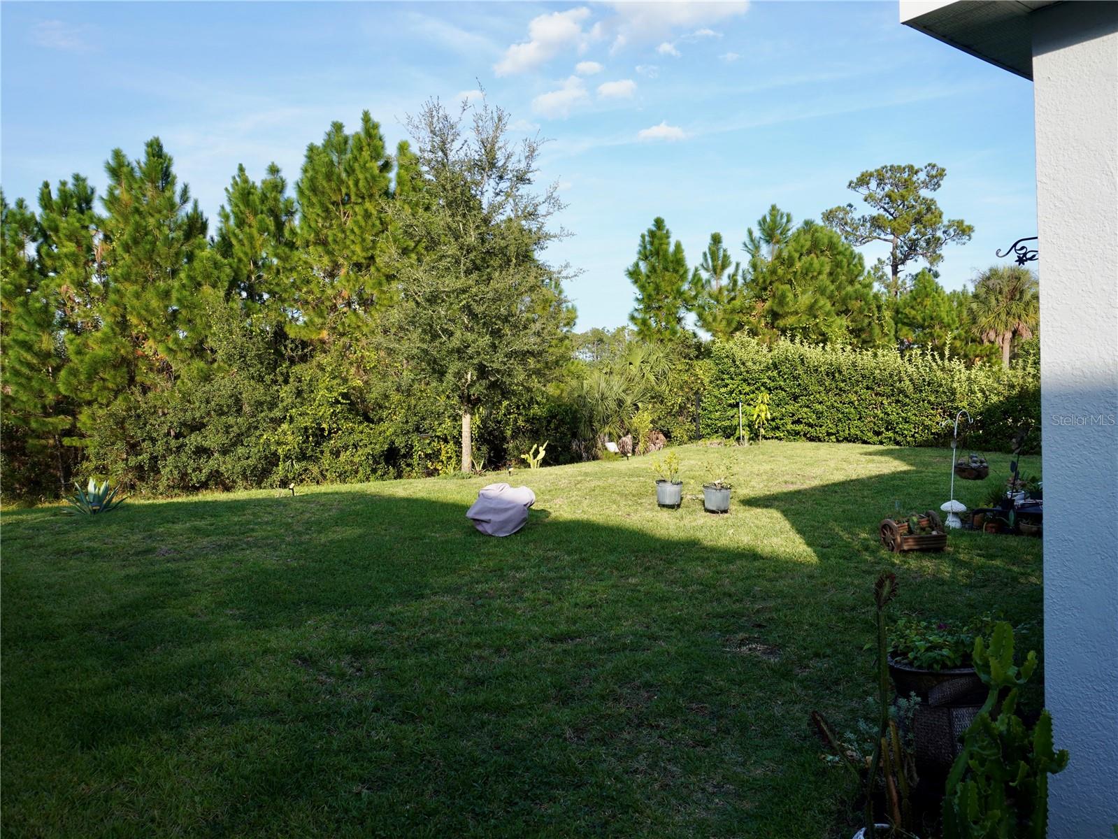 17876 PASSIONFLOWER CIR, CLERMONT, FL, 34714