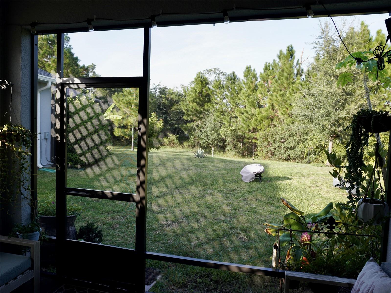 17876 PASSIONFLOWER CIR, CLERMONT, FL, 34714