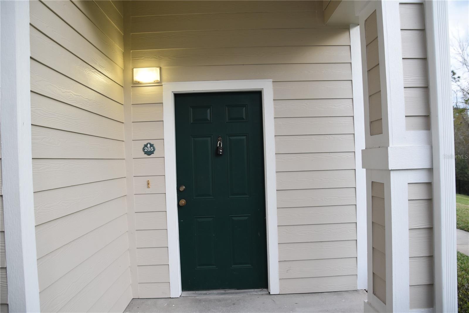 316 SOUTHERN PECAN CIR #207, WINTER GARDEN, FL, 34787