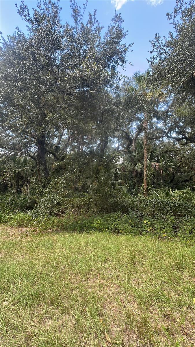 17875 NW 254TH ST, OKEECHOBEE, FL, 34972
