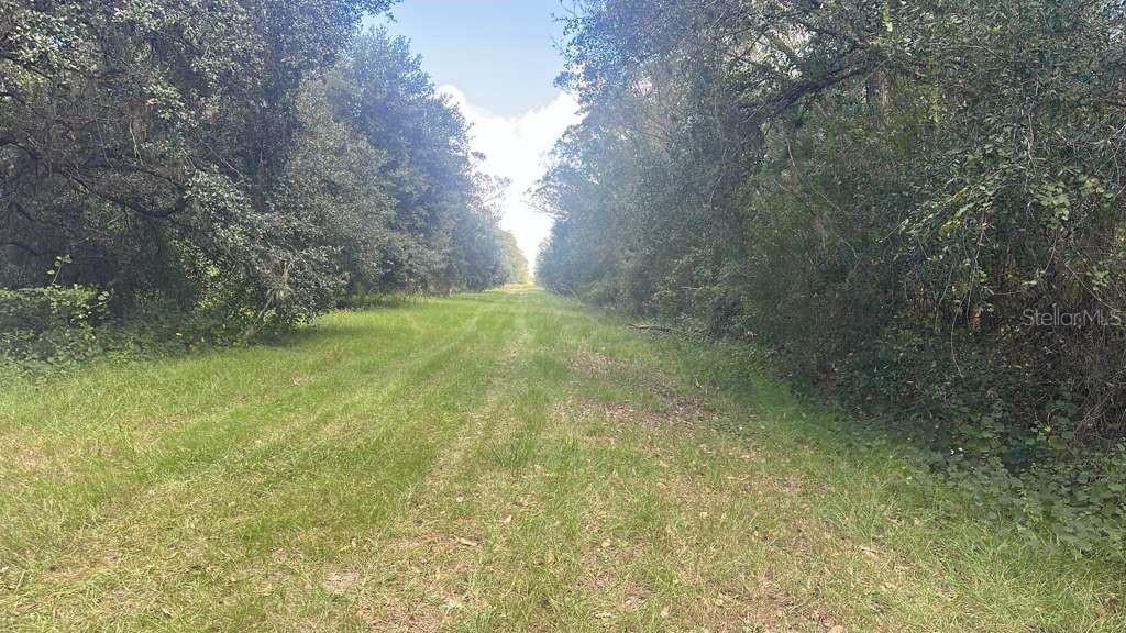 17875 NW 254TH ST, OKEECHOBEE, FL, 34972