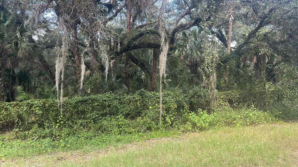 17875 NW 254TH ST, OKEECHOBEE, FL, 34972