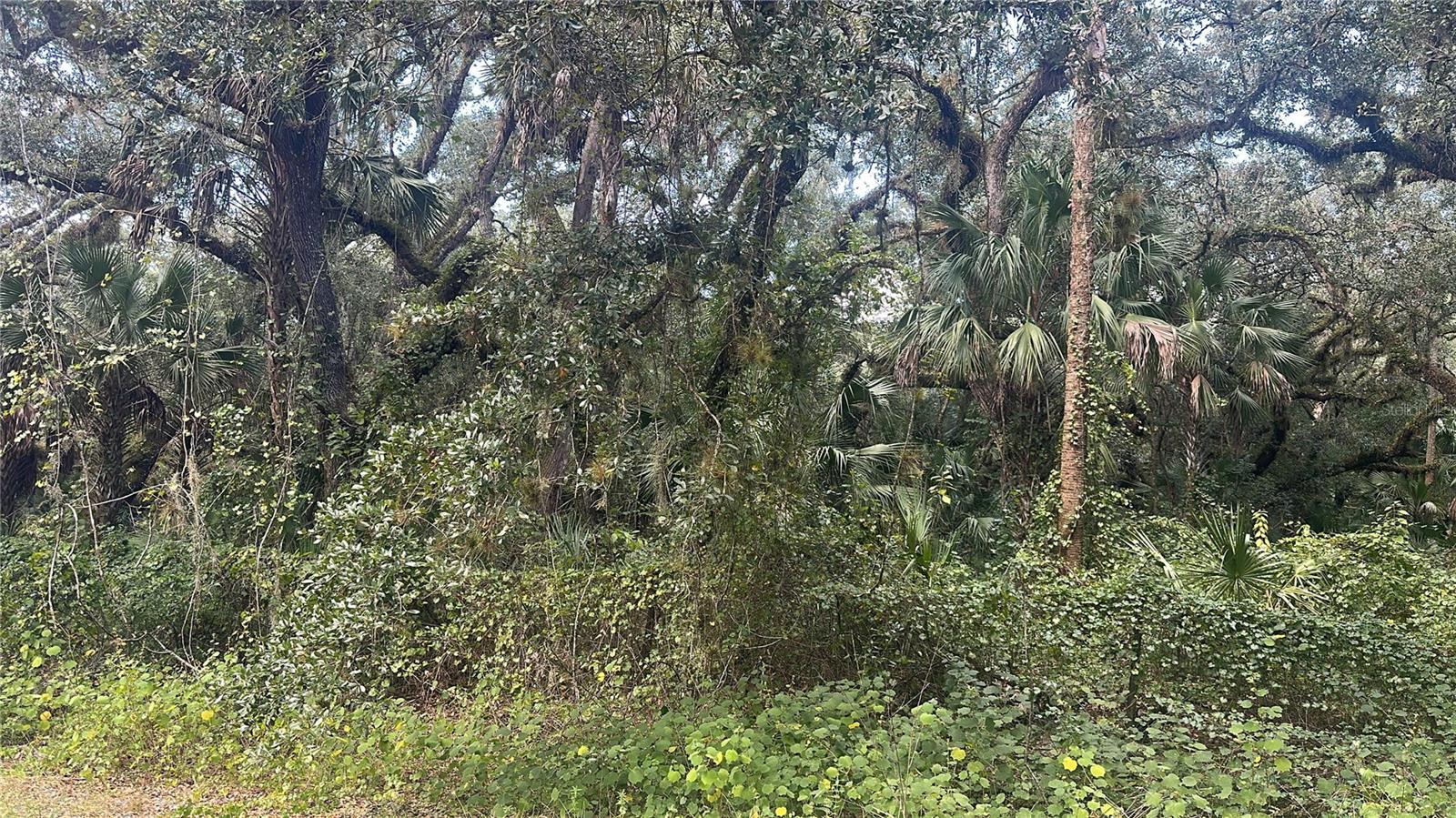 17875 NW 254TH ST, OKEECHOBEE, FL, 34972