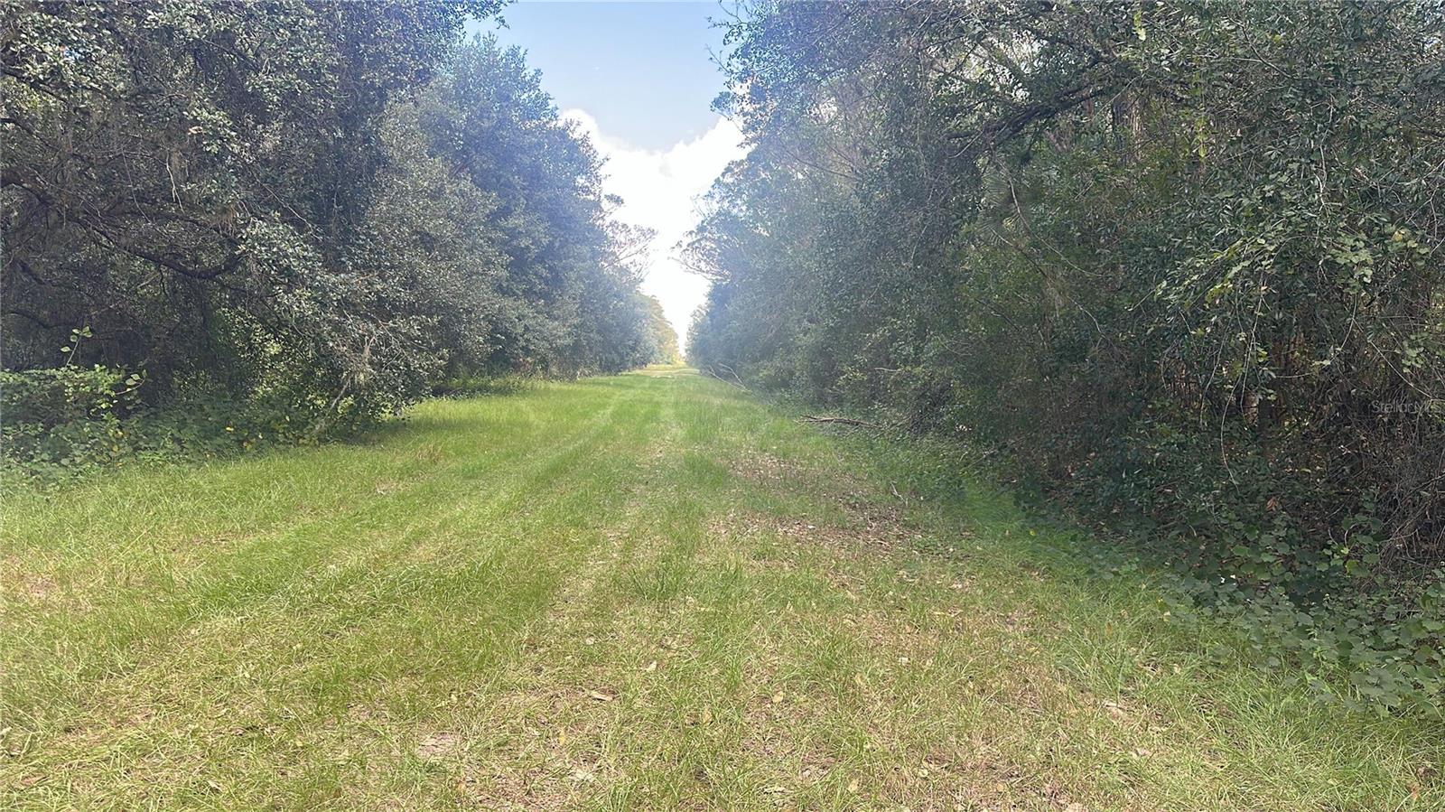 17875 NW 254TH ST, OKEECHOBEE, FL, 34972