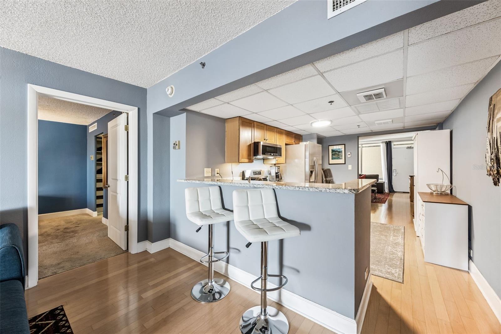 151 E WASHINGTON ST #518, ORLANDO, FL, 32801