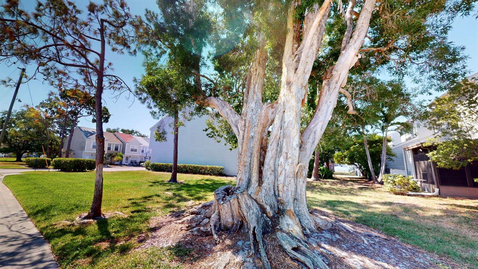 6710 121ST AVE #12, LARGO, FL, 33773