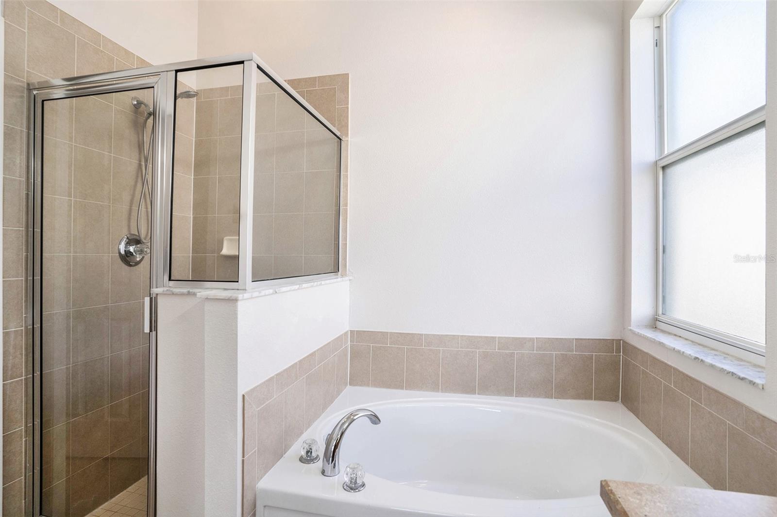 6822 RUNNER OAK DR, WESLEY CHAPEL, FL, 33545