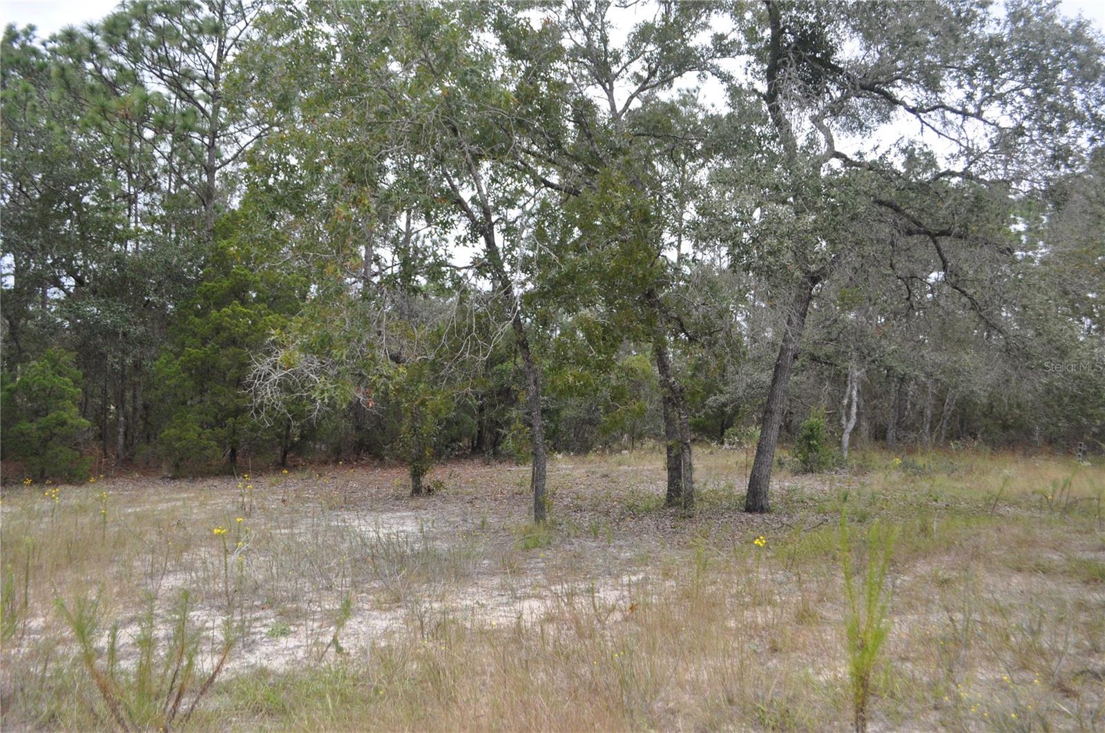 5009 W RYAN CT, HOMOSASSA, FL, 34446