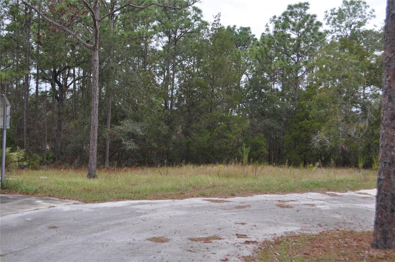 5009 W RYAN CT, HOMOSASSA, FL, 34446