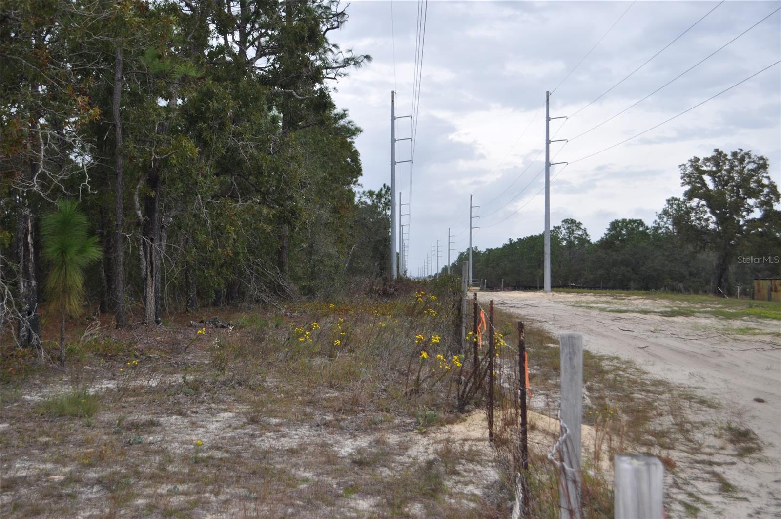 5009 W RYAN CT, HOMOSASSA, FL, 34446