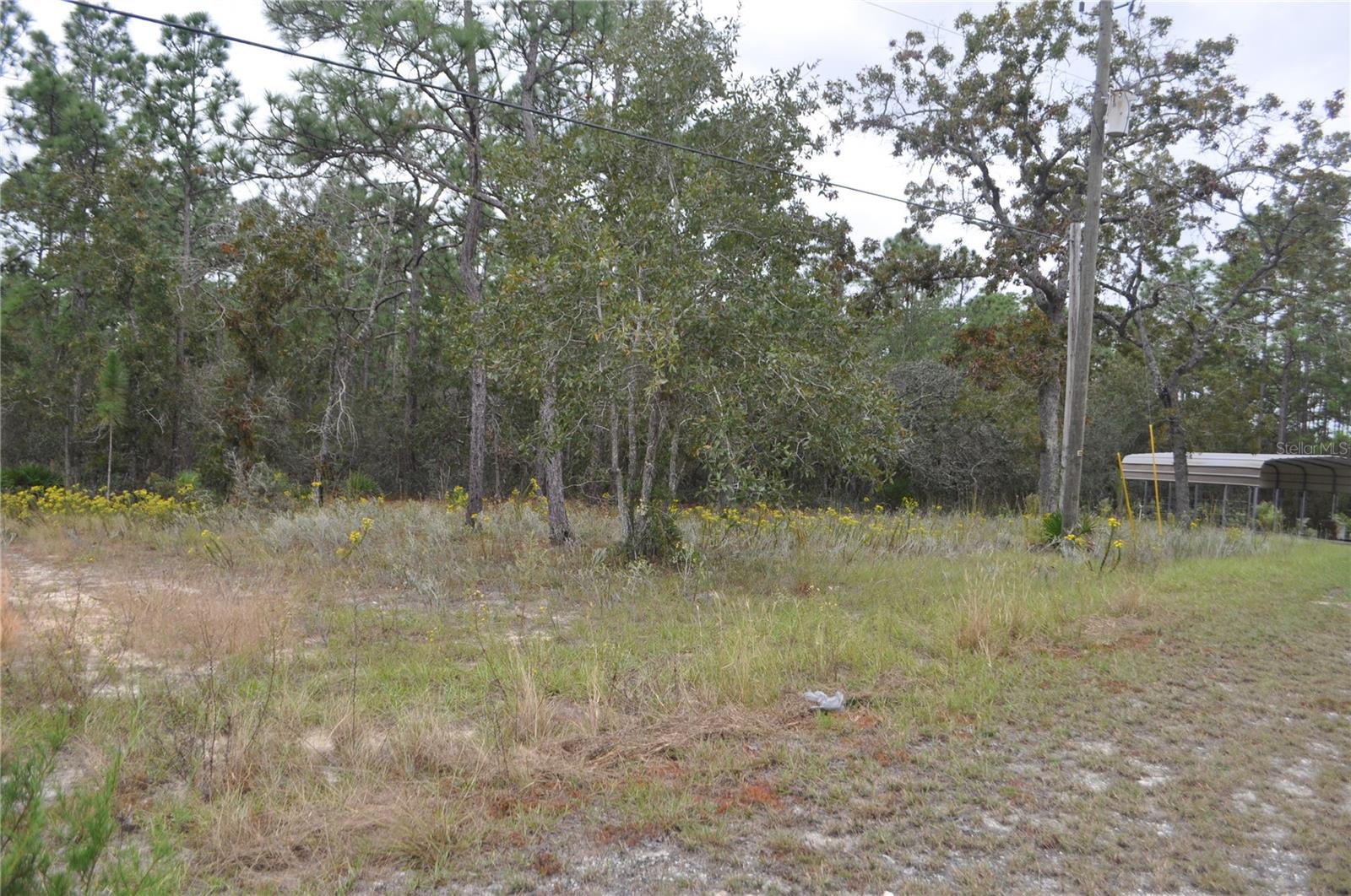 5009 W RYAN CT, HOMOSASSA, FL, 34446