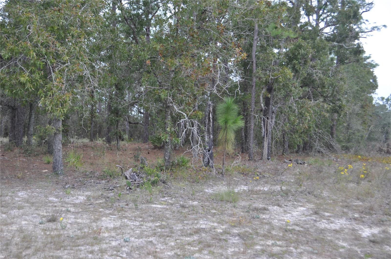 5009 W RYAN CT, HOMOSASSA, FL, 34446