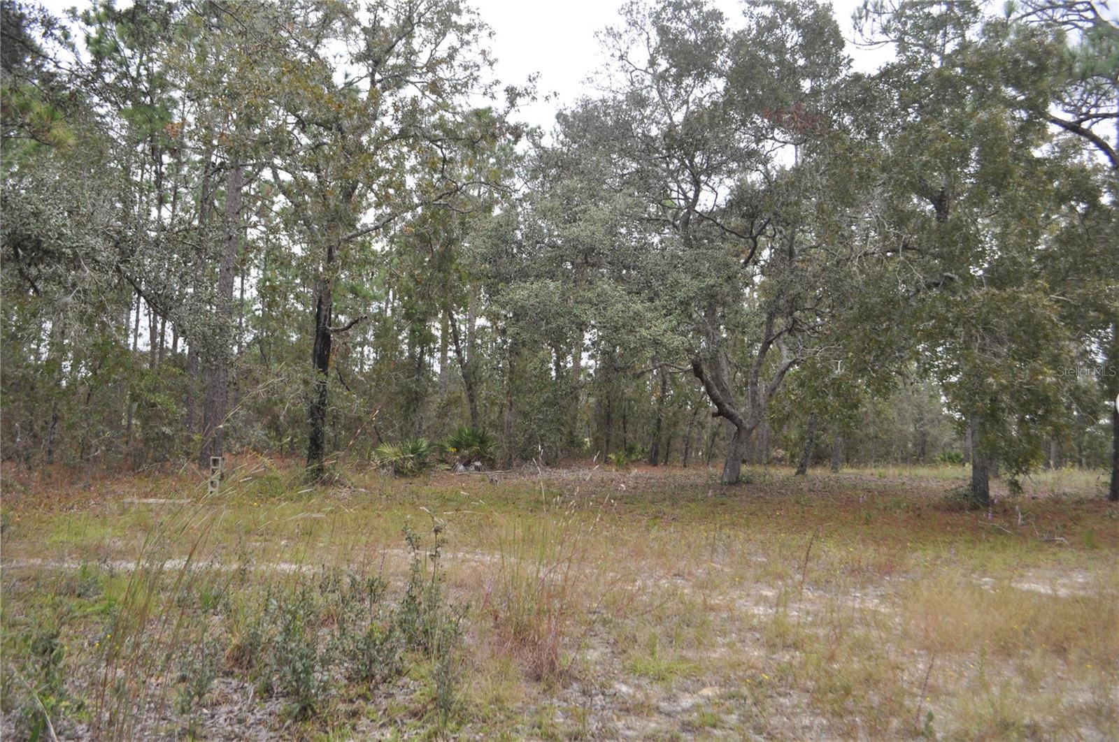 5009 W RYAN CT, HOMOSASSA, FL, 34446