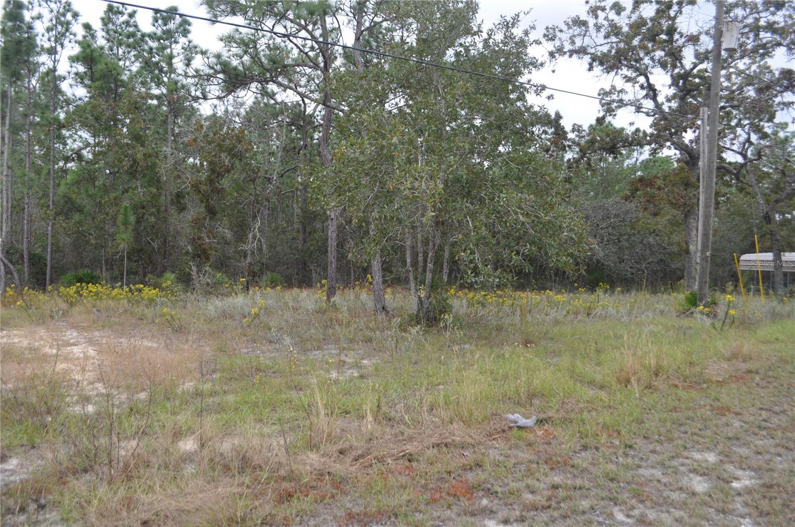 5009 W RYAN CT, HOMOSASSA, FL, 34446