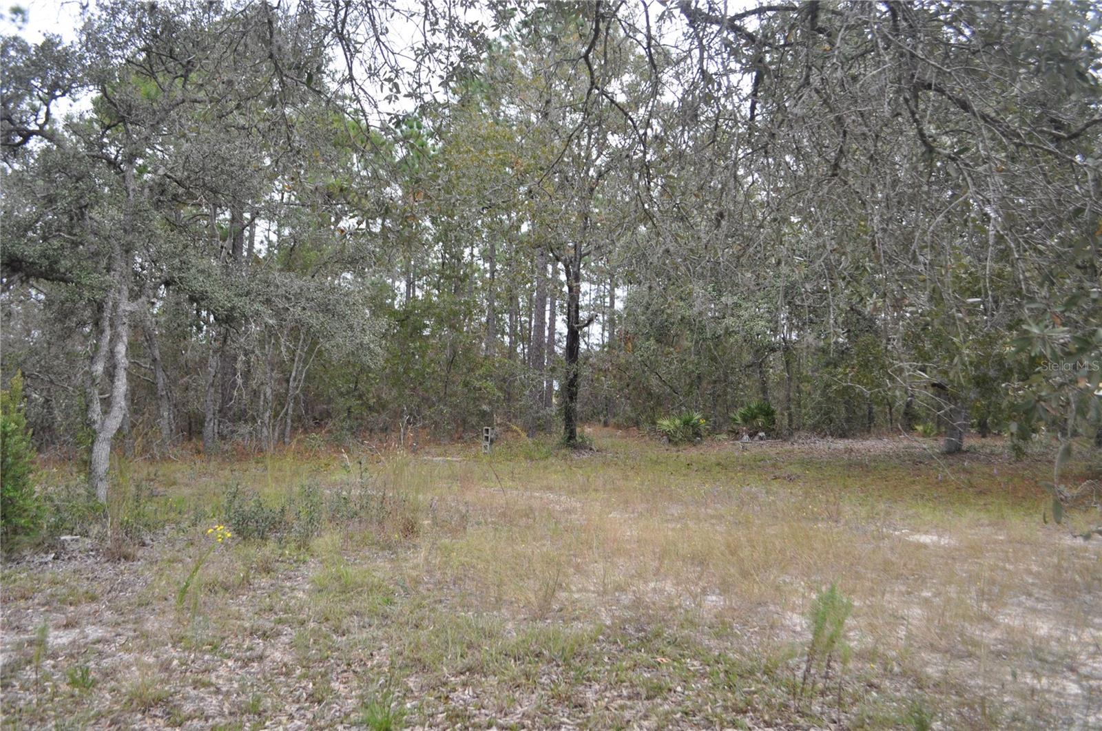 5009 W RYAN CT, HOMOSASSA, FL, 34446