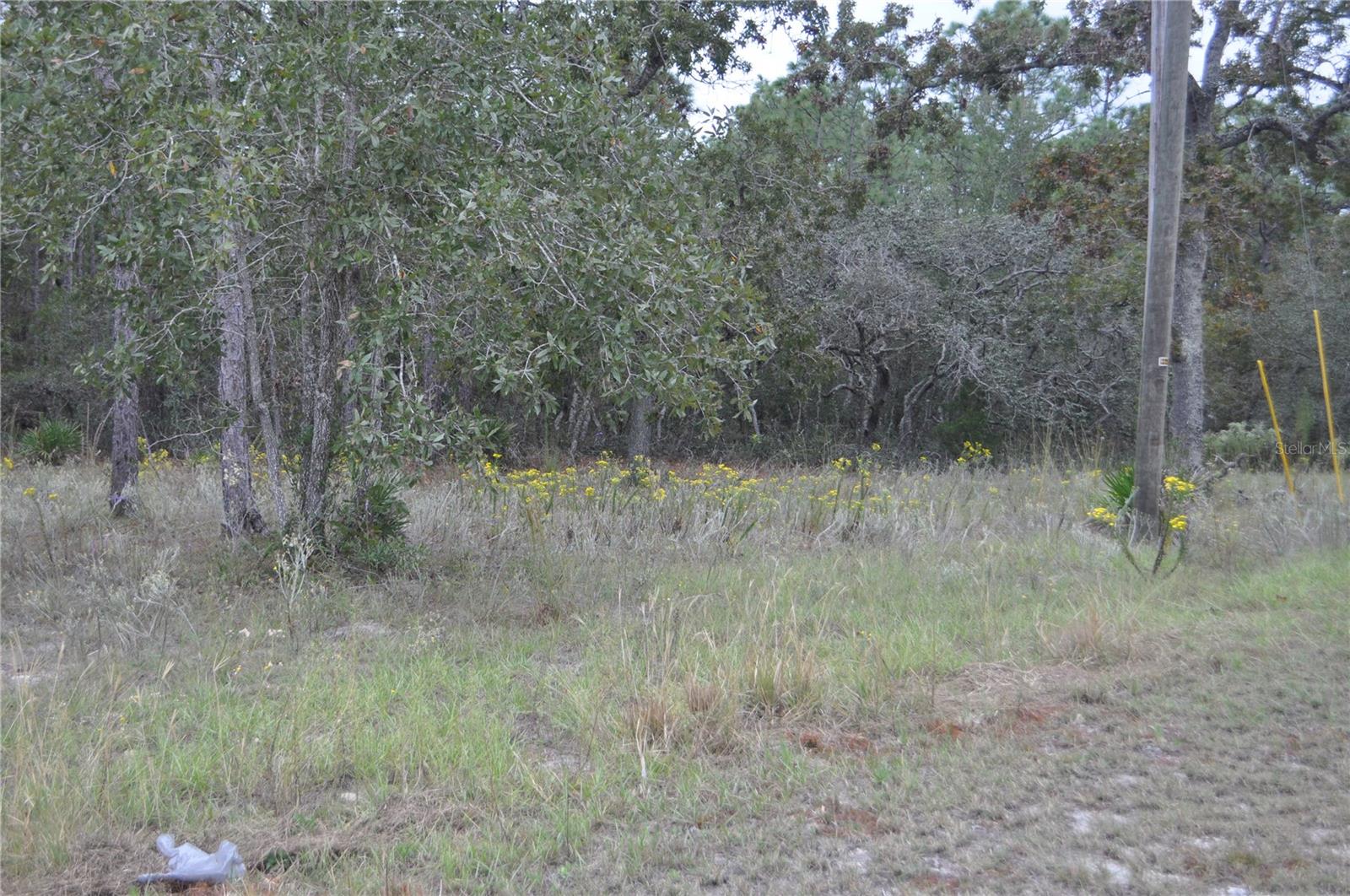 5009 W RYAN CT, HOMOSASSA, FL, 34446